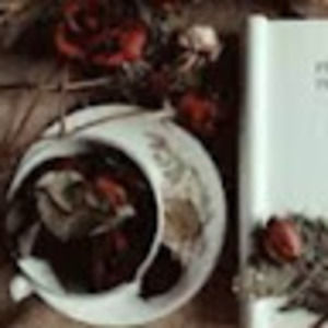 Meet your Posher, Ariana